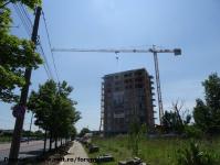 Imagine atasata: Vivalia Bulbuca - 2016.06.08- 03.jpg